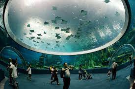 aquarium design architecture